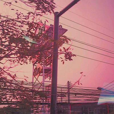 三张牌下载金花免费手机app下载