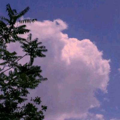 best365体育版官网下载